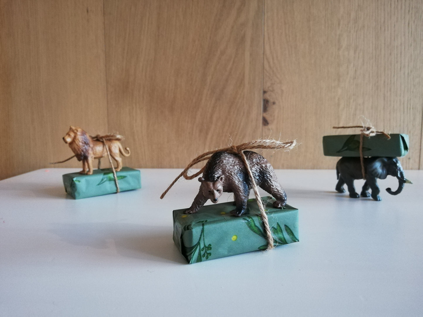 Traktatie wilde dieren